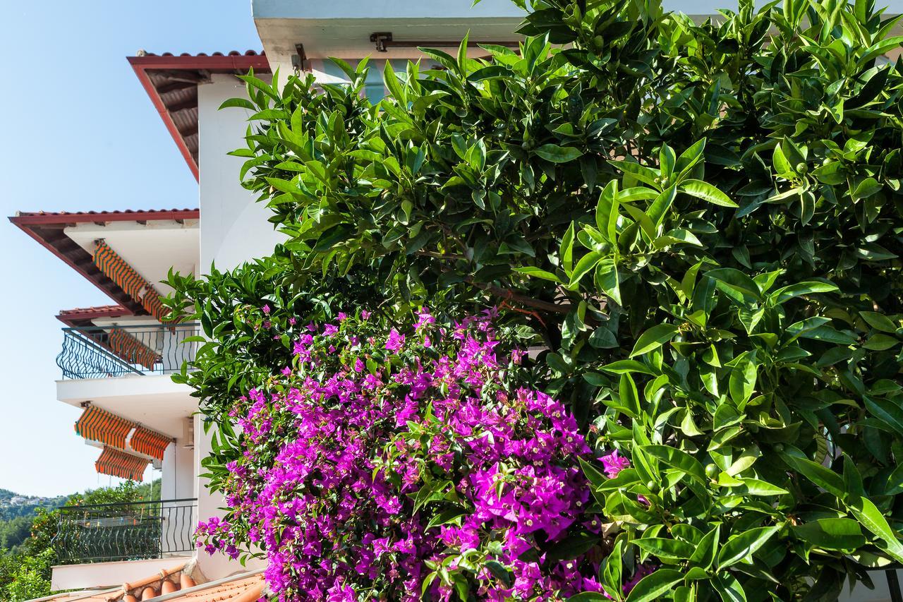 Xenios Loutra Village Mary'S House Agia Paraskevi  Eksteriør bilde